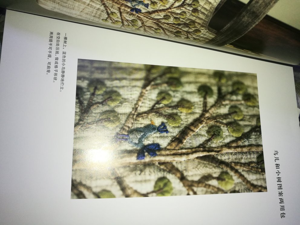 她的配色很好……是我喜欢的……看到个环保袋想起一个疯子没事就拎布布缝垃圾袋,用这个扔一个,太奢侈了而且不防水啊……后来的不是彩图,看着头大,不知能否学会……我喜欢彩图