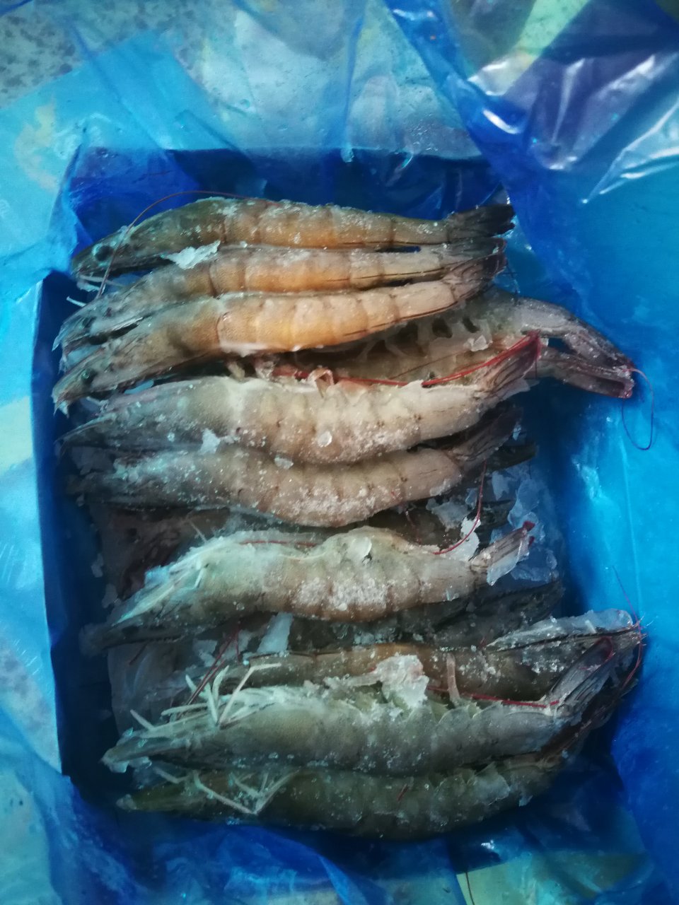 经常在,商城上买虾很大,物流很快,东西也很好