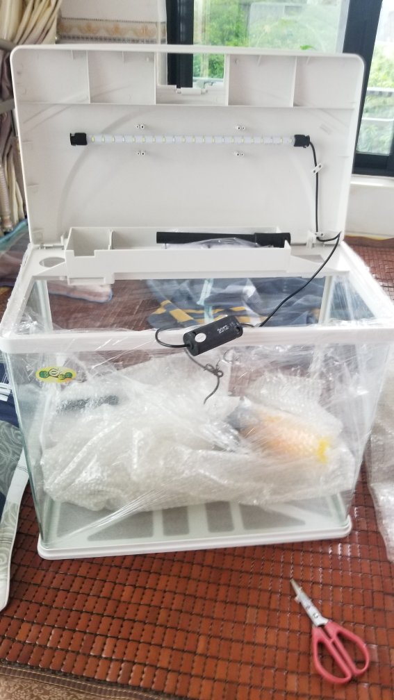 一收到就槽点满满的感觉,有些地方有点脏而且擦不掉,胶水好像也是比较廉价那种等等等等……,总之品控令人担忧。但是我依然给四星,因为是自营。