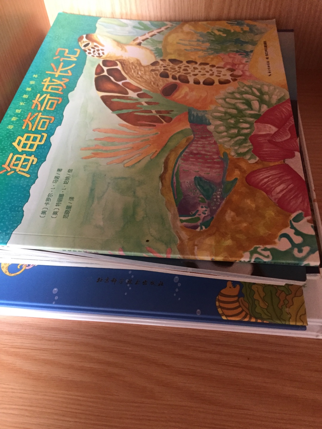 我为什么喜欢在买东西,因为今天买明天就可以送到。我为什么每个商品的评价都一样,因为在买的东西太多太多了,导致积累了很多未评价的订单,所以我统一用段话作为评价内容。购物这么久,有买到很好的产品