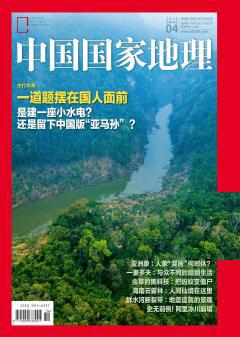 2018年第4期《中国国家地理》内容简介主打选题一:西双版纳罗梭江:惟一的中国版亚马逊河谷被小水电“毁容”主打选题二:森林变孤岛——亚洲象的“蜗居”生活何时结束?