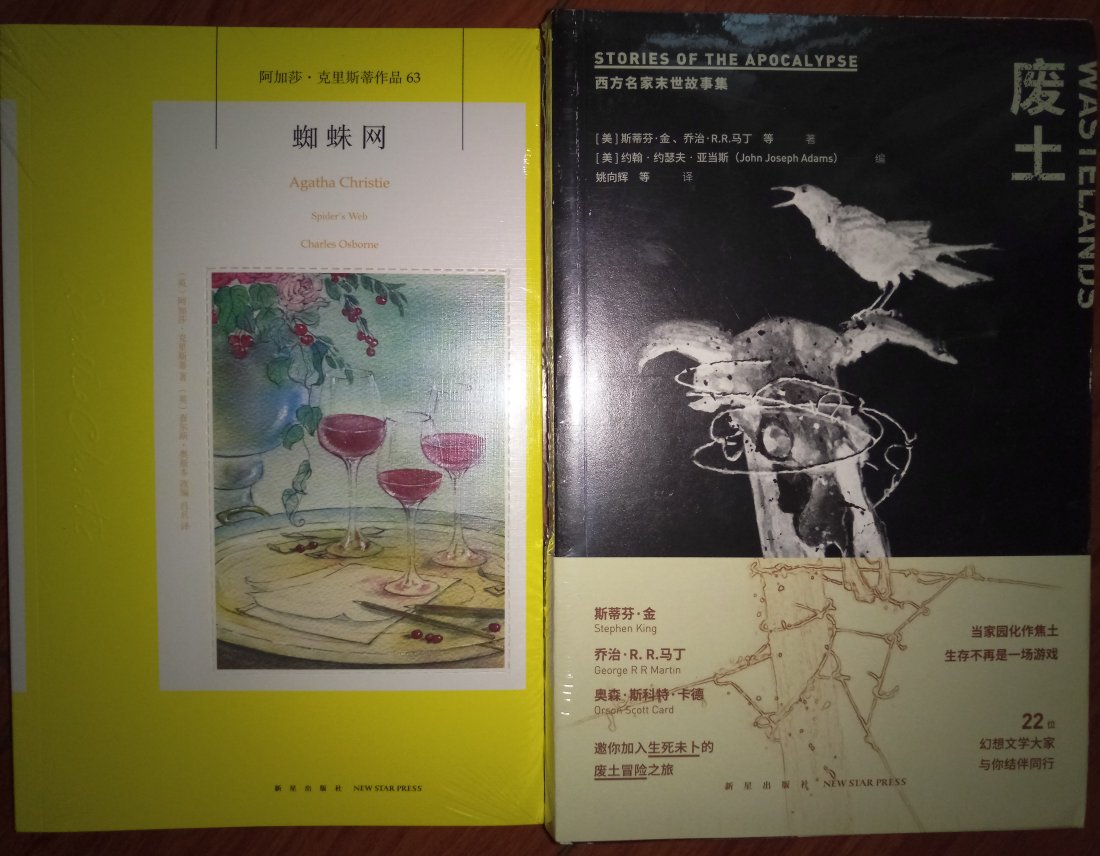 相较于其他艺术,小说是人类想像力的新近产品,故名novel(新的)。它无法跟戏剧的悠久历史相比,跟戏剧和口述故事不同的是,一个社会必须达到一定程度的识字率,小说才能吸引到少数识字阶级。