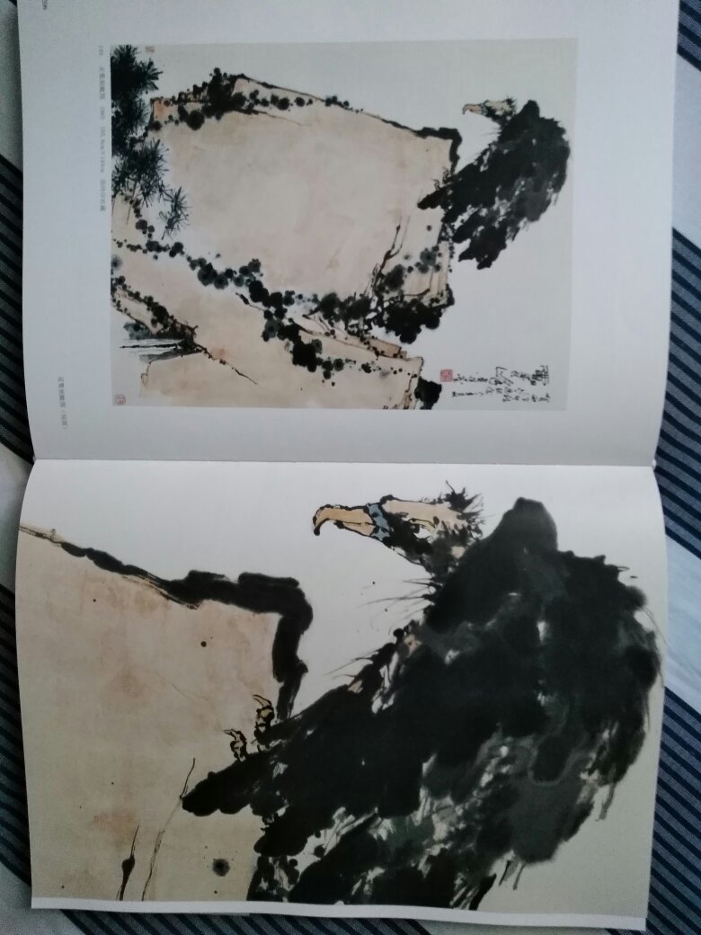 在浙江美术馆观看潘天寿特展时就见此画册,定价有点高,犹豫不决,没有购买。618特惠,让利多多,简直是做福利一样了。乃爱书人的福地,谢谢!