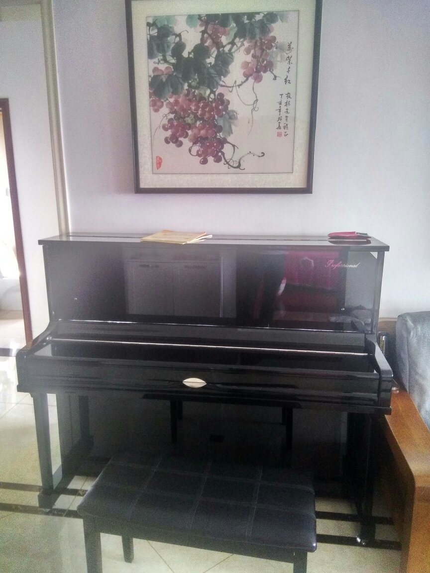 大品牌值得信赖。音质,音色都很好,专业的老师谈过说很好!孩子非常喜欢。没有必要买进口品牌,这款就很棒!