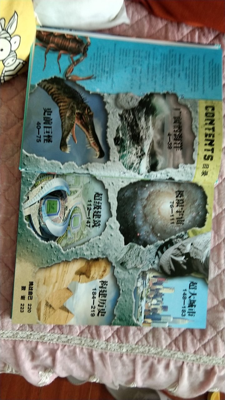 书架上都摆满了,但好像也不是特别喜欢,作为科普翻翻可以了。3岁娃,更喜欢卡梅拉,宫西达也霸王龙。我推荐另一本书,老公公司六一儿童节给孩子的福利。看图二和三,图片内容都非常丰富