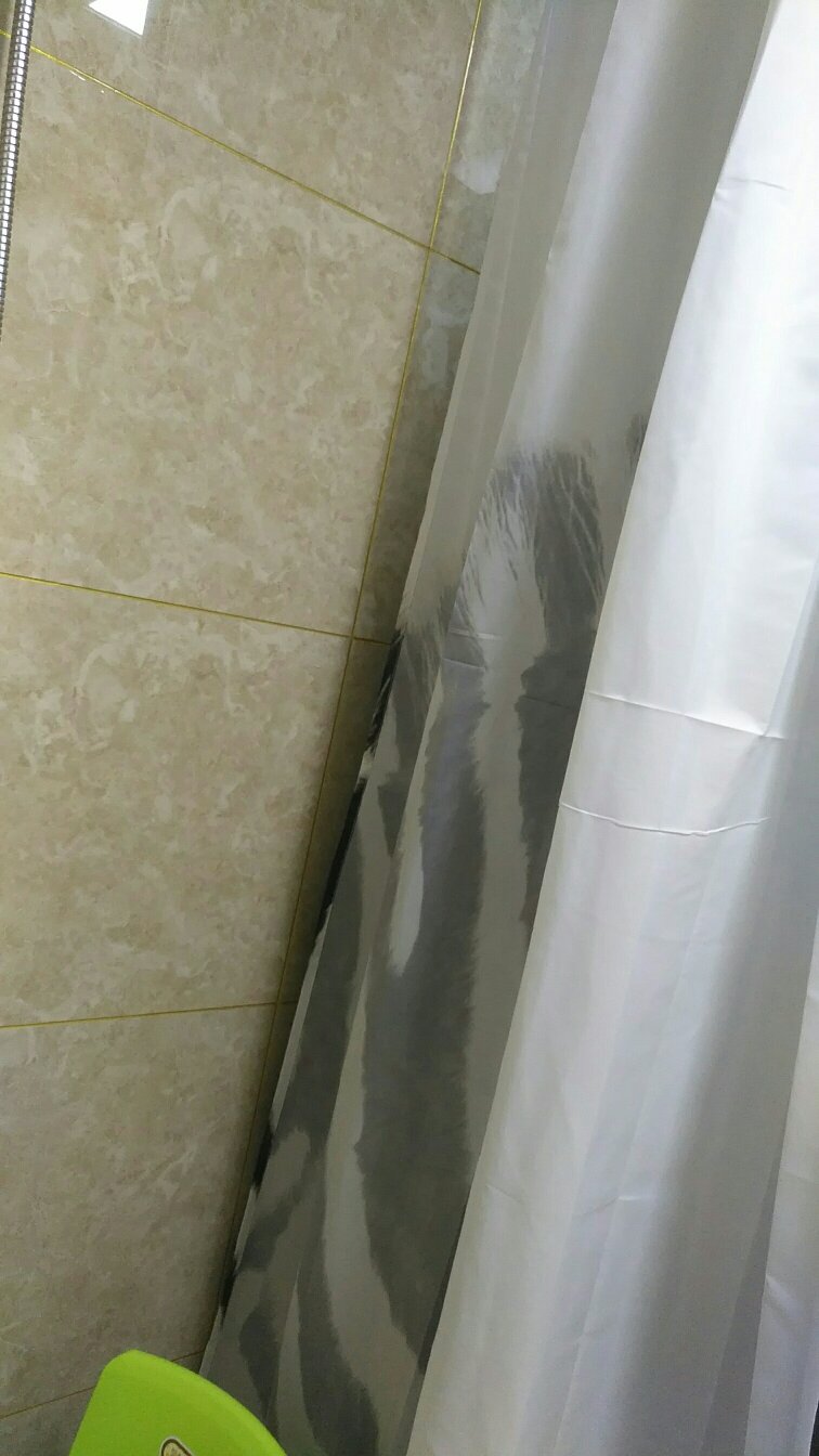 浴帘不错,色泽简洁大方,坠性很好。物流给力,快递哥服务热情。