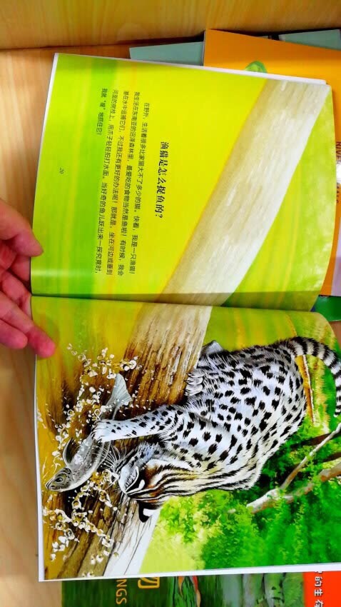 在孩子不停的问你为什么为什么之后,就可以给孩子看一些简单的科普绘本,建议从简单的开始启蒙,这套《自然传奇》全套20册,挑出孩子感兴趣的先读,边读边启发孩子思考:上次我们在公园看到过这个潮虫,下次我们试试,遇到障碍物它会不会卷一起?也可以这样:我们看看今晚的月亮是圆的还是月牙形?这样一点点启发孩子在生活中观察。如果对科普绘本一直不感兴趣是没选对书,一般来说,孩子到4岁左右就会对科普的知识感兴趣。先从故事性的科普书入手,再拓展大部头的科普书。《自然传奇》到手发现实在是太好了。精美的图片,旁边还配有文字讲解,对于3-6岁的孩子来说这种图大字少的排版真是太讨喜了。英国作者,权威的科学启蒙绘本。对于幼儿园的小朋友,这种卡通绘本形式非常适合启蒙,这样孩子可以更直观的认知。每本一个主题,以讲故事为主线来做科普,我们再用这套书以点扩面,知识点搭配别的大部头科普书再做大范围的知识了解。这样在讲故事中掌握了科普知识,也增宽了知识面,同时对大科普书的详细内容也有了解。买了之后已经和孩子看了好几遍了,每次都读十多本孩子才肯休息。以前零零散散的也买过一些科学启蒙绘本,但是这套孩子最喜欢,一个人也能看的津津有味