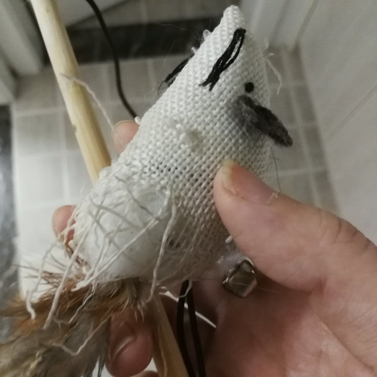 看见这东西猫就疯了,咬住不松嘴,没两天就变成了这个德行,不敢抢的,凶死了
