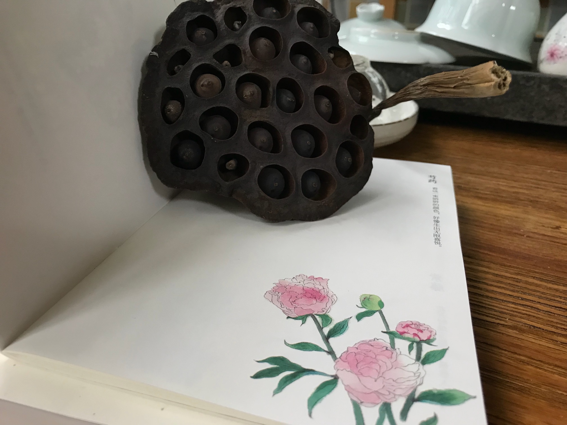 苏枕书旧作新发,签售版。是可以放进包里带走随时阅读的书。她的作品拥有四本,可以反复阅读。随书附赠的草木岁时记是日本植物绘本家中岛荻作品,内容分春夏秋冬四时之花果,非常漂亮,可待闲情临摹静心。