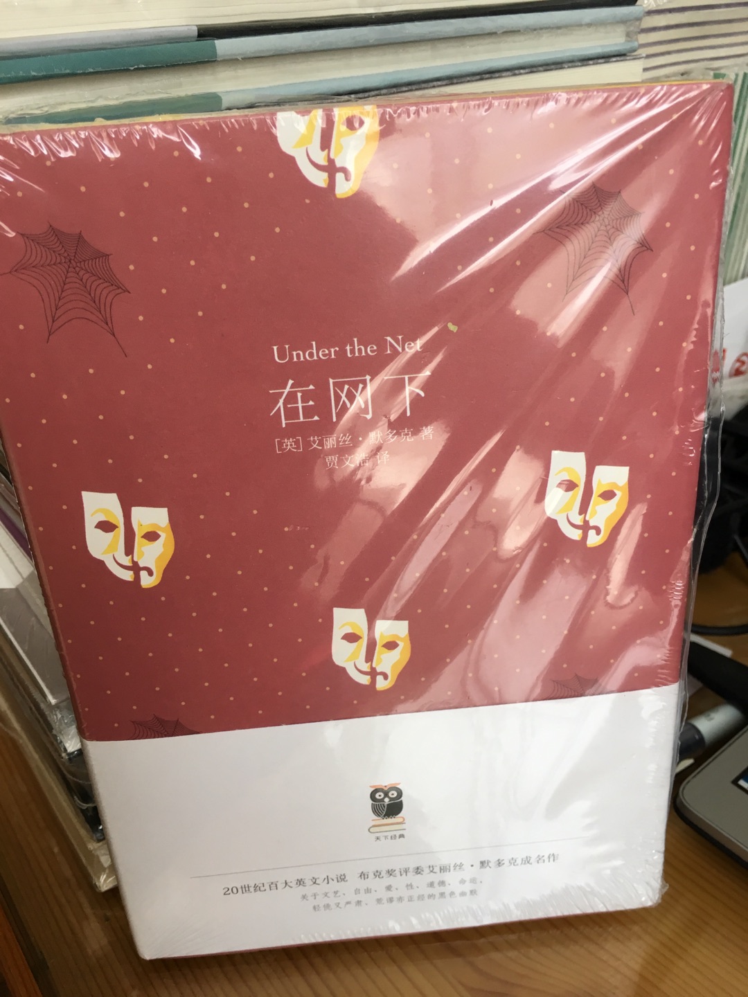 杰克和雨果的对话以及和安娜的理论循环开启了关于语言的永恒论题。语言都是空虚的谎言,目的是为了得到回应。作者对巴黎是真爱,拟人化的句子都很美。