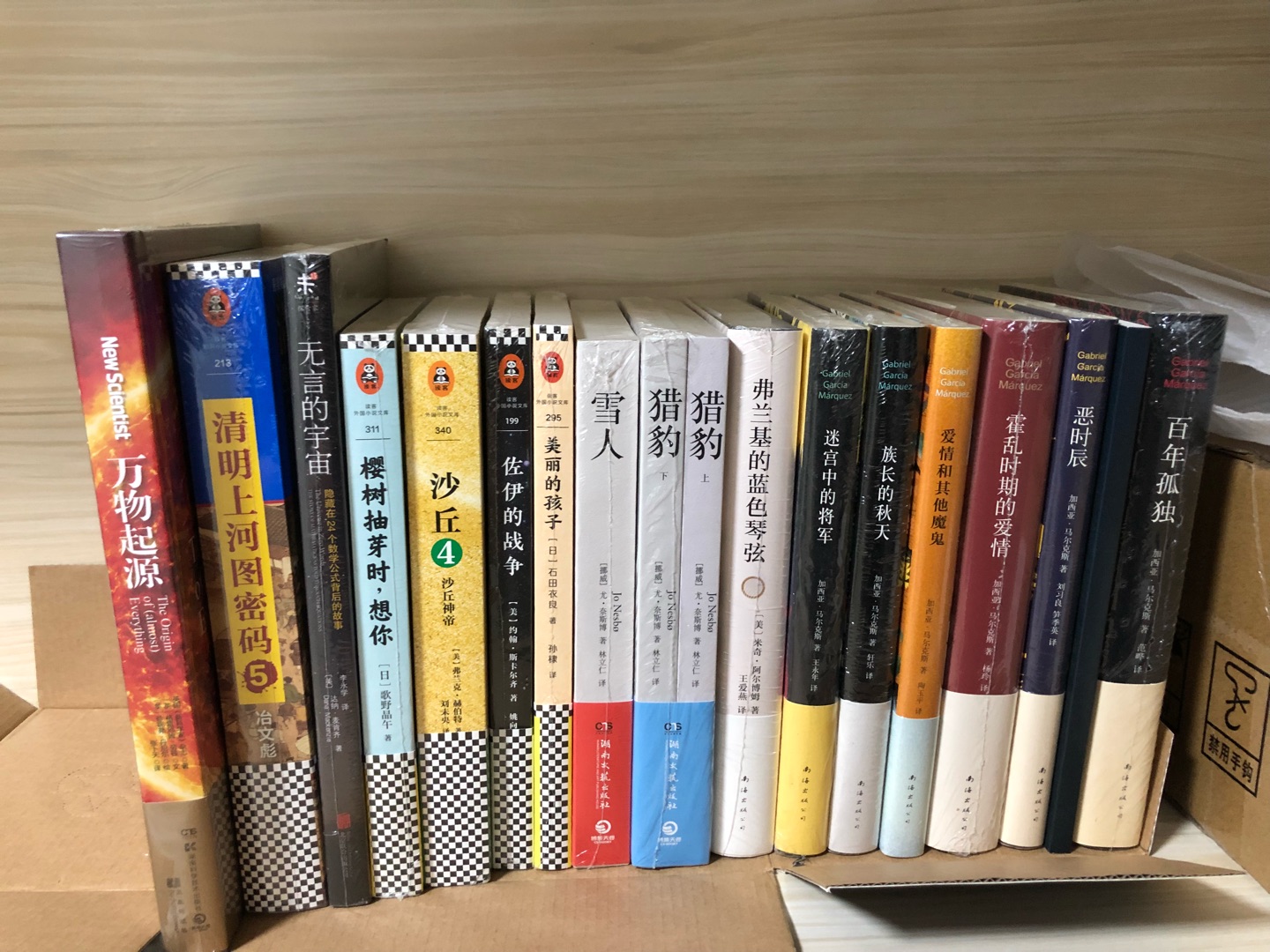 从《孤独小说家》入坑,很喜欢石田衣良的书,后续看了《指拇恋人》、《明日征途》和《我们是不是该结婚了》,语言虽然平淡,但是很能给予人内心深处共鸣和悸动。希望这本也不错。