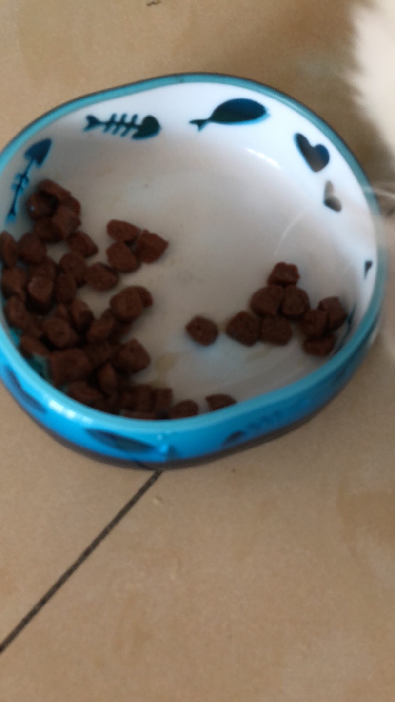 两只馋猫只把汤舔了,粮都剩下不吃