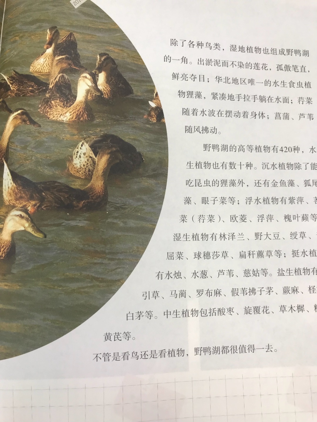 书是正版的,朋友推荐买一本看看,不错。我为什么喜欢在买东西,因为今天买明天就可以送到。我为什么每个商品的评价都一样,因为在买的东西太多太多了,导致积累了很多未评价的订单,所以我统一用段话作为评价内容。