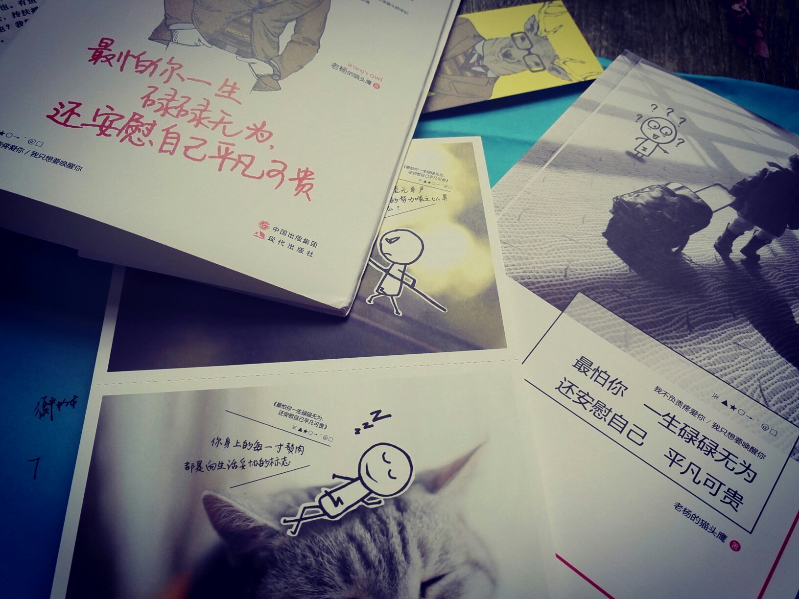 这本书,好好来自这本书的一段给活在这世界上,却离世界很远的你给在大势已定无可更改时才迟迟进场,却又在胜败未分时提早离席的你; 余生不长,请温柔对待。