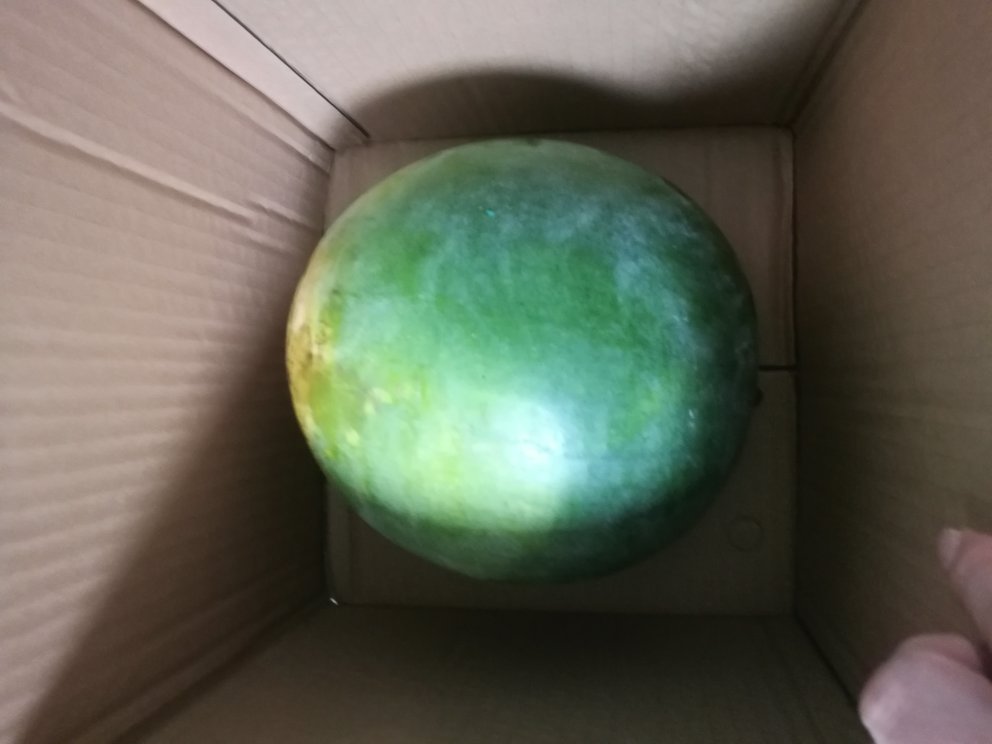 皮很脆,慢慢切开的。这瓜不适合切片吃,用勺子挖着吃比较好(个人觉得??)