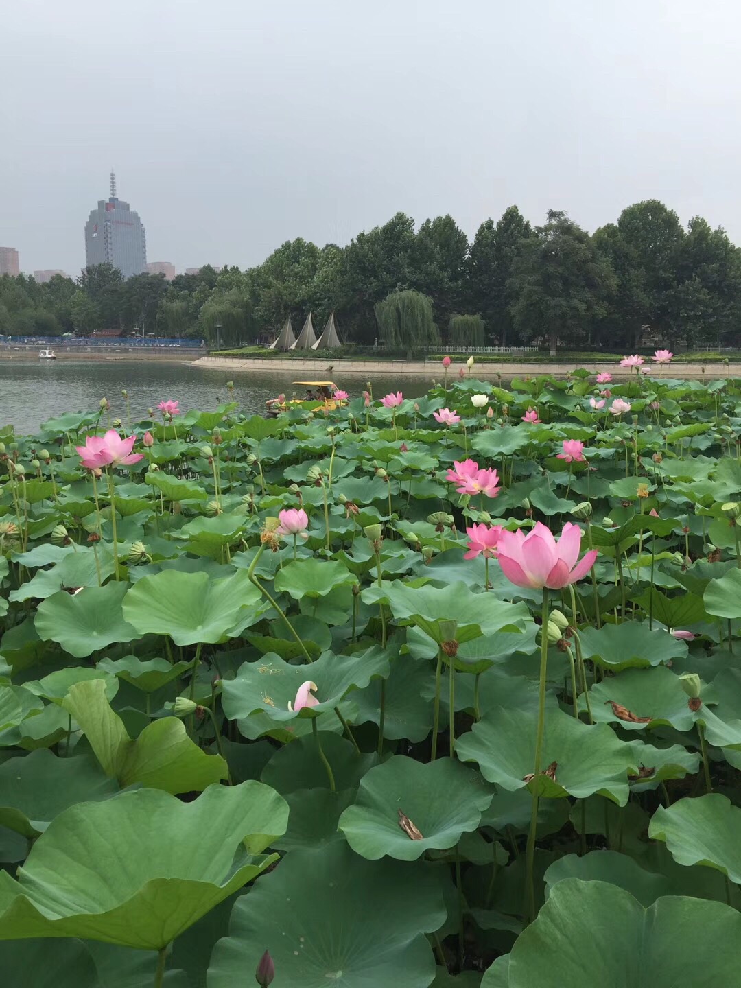 收到了 非常喜欢 很好的购物体验 东西不错哦 赞一个 就是喜欢买东西啊 所以全家的生活用品都是我来采购的 眼睛都选花了才挑到满意的 都说我是购物狂呢 哈哈哈哈哈哈哈哈哈哈哈哈。快递师傅幸苦了