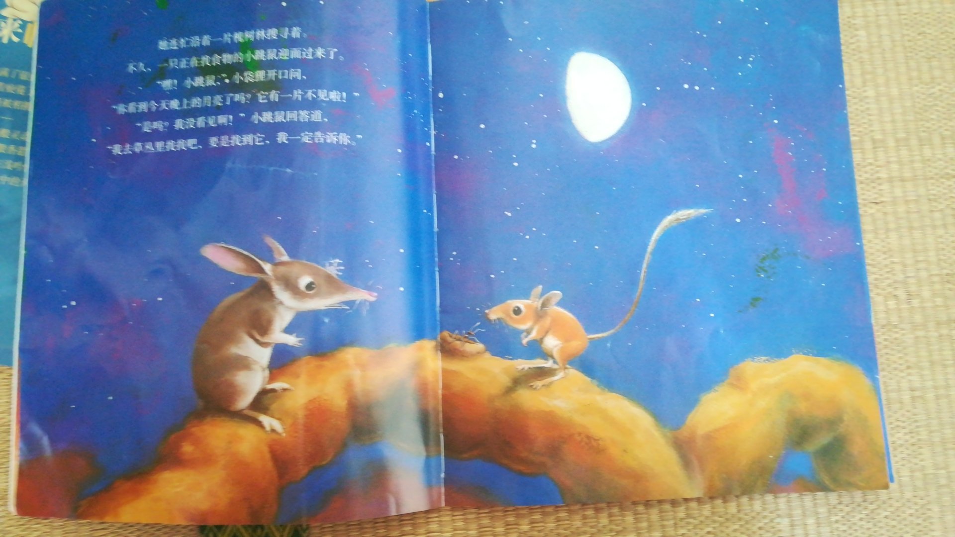 适合小宝宝看,文字不多,里面的图画真心很美,动物惟妙惟肖。大人都喜欢看。书的质量很好,物流给力!赶上活动多囤一些书,很优惠!