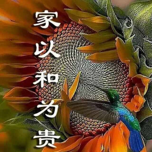讲述了孙悟空(当然不是我们神化中的那个齐天大圣喽)父子和那7颗能满足人们心愿的龙珠,把读者从山村引到城市,从地球引到外星,又从现在引到未来。