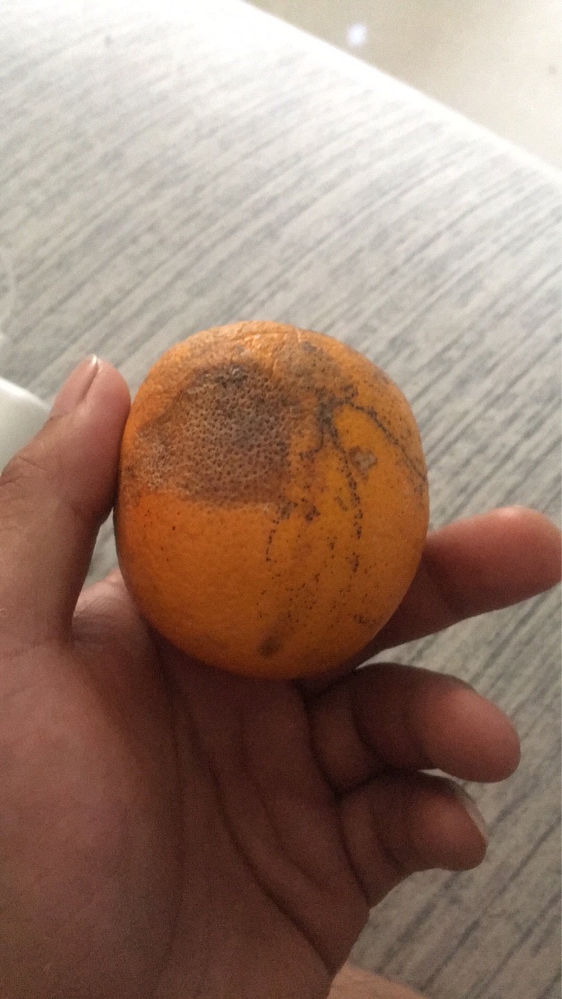 评论还需要十个字 也不知道说啥 反正很好吃