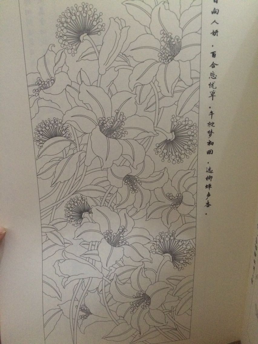 很美很美的一本书,还没来得及看,只是翻了翻书,就被她美晕了。群里的妈妈们介绍的书,想来一定是不错的。还送了一本薄薄的涂色书,也是美翻了!包装的也很好的。