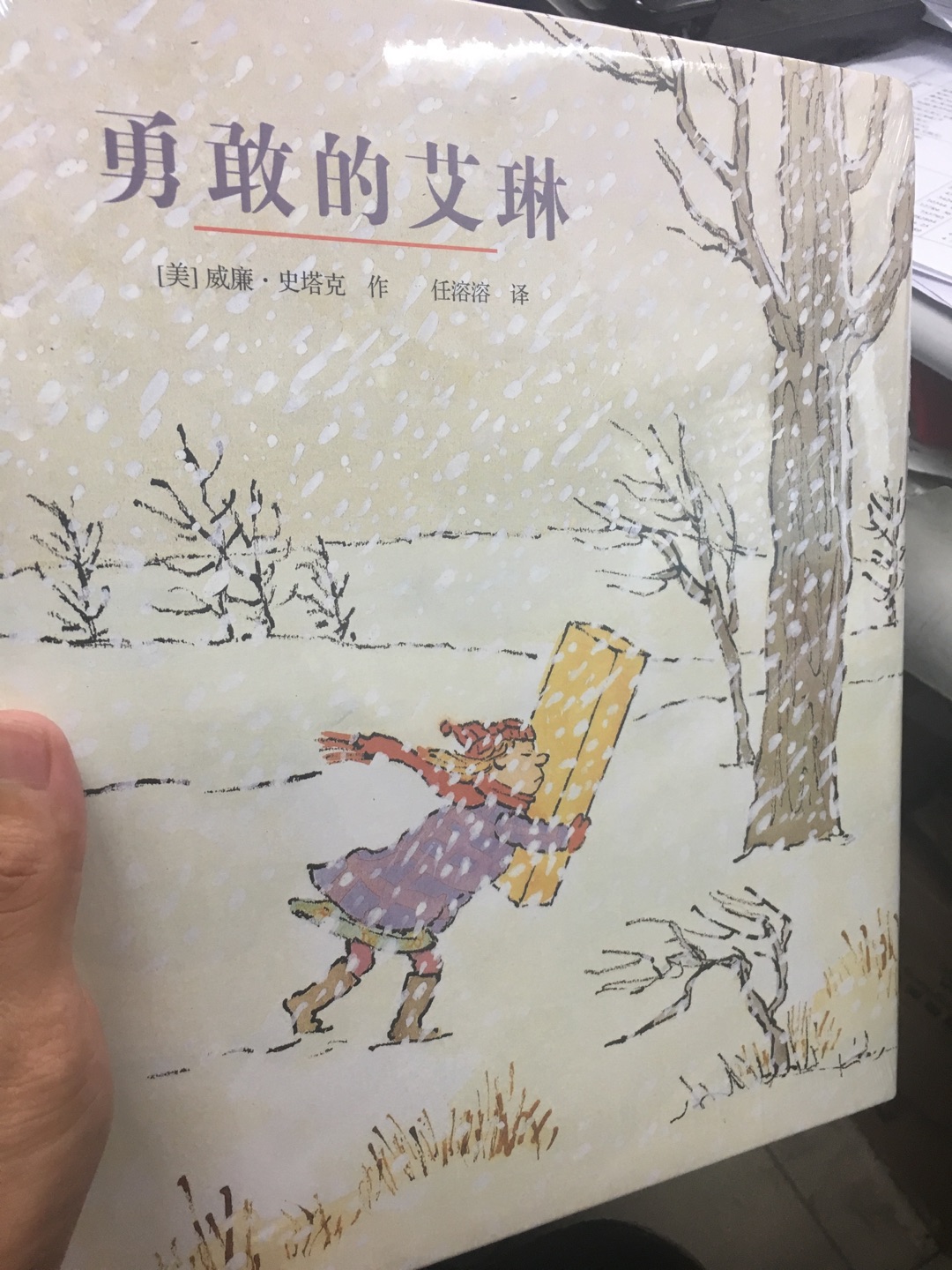 一件漂亮的礼服,小女孩儿艾琳不得不迎着暴风雪送礼服,这个过程中,女孩儿经历了很多困难,但最终女孩儿克服了困难,把礼服送到了公爵夫人的手里。