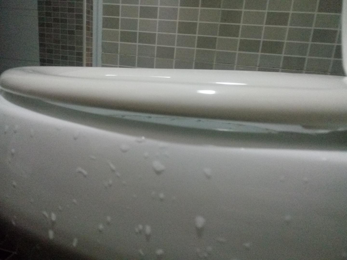 试试,都还可以,就是盖板打开是直角的,没有大于直角角度,这样的话,胖点的人,或者冬天穿衣多点的在使用时候,后背会挨着盖板,会让人感觉上不舒服