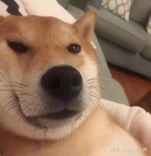 质量非常好,与卖家描述的完全一致,非常满意,真的很喜欢,完全超出期望值,发货速度非常快,包装非常仔细、严实,物流公司服务态度很好,运送速度很快,很满意的一次购物