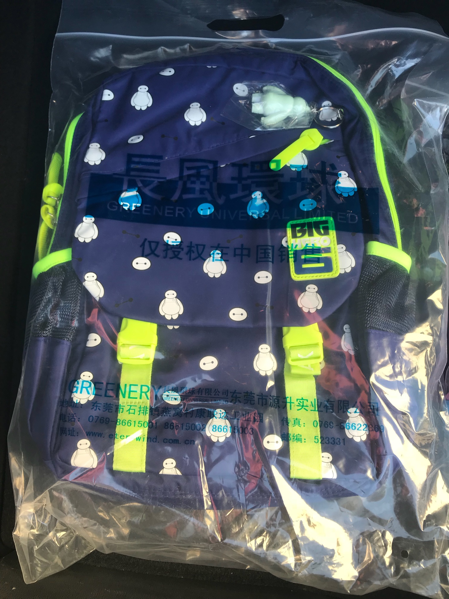 非常漂亮的小书包
