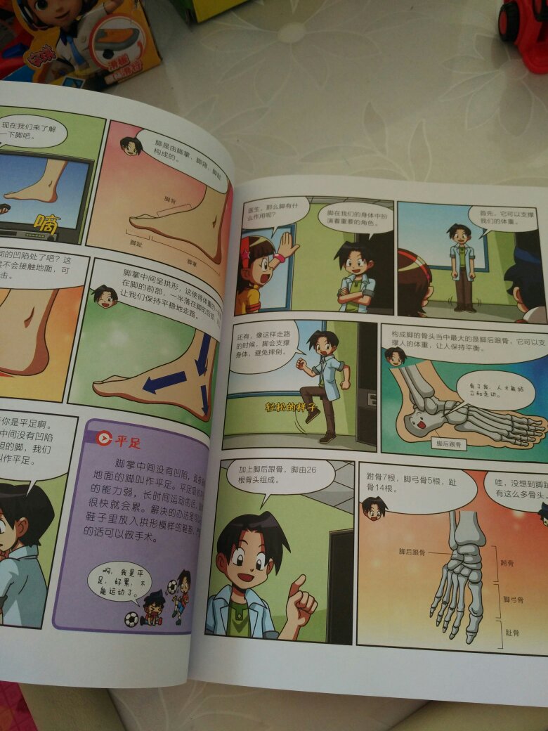 神经和脑身体的指挥官——脑和脊髓脑的构造和功能/帮助脑的脊髓神经元传递刺激的多种感官感觉器官的作用/保持身体平衡的耳朵感知味道的舌头的位置朝着新的开始