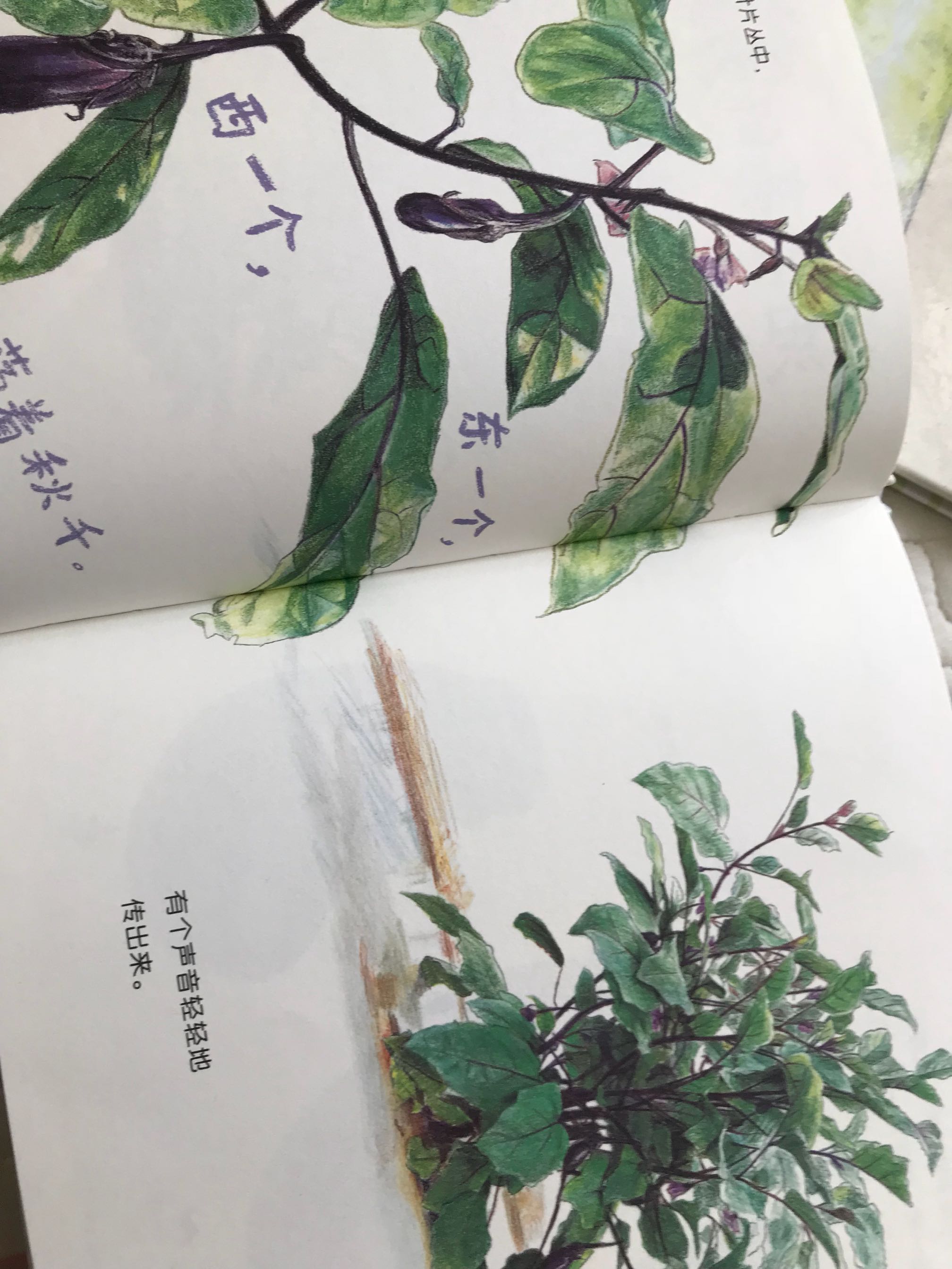 娃三岁半,不爱吃菜最近,抓紧入了这套书,城市里很少见到蔬菜怎么长成的,这本书画风也不错,喜欢读几遍娃能爱吃点蔬菜,顺便科普下蔬菜知识,就完美了…