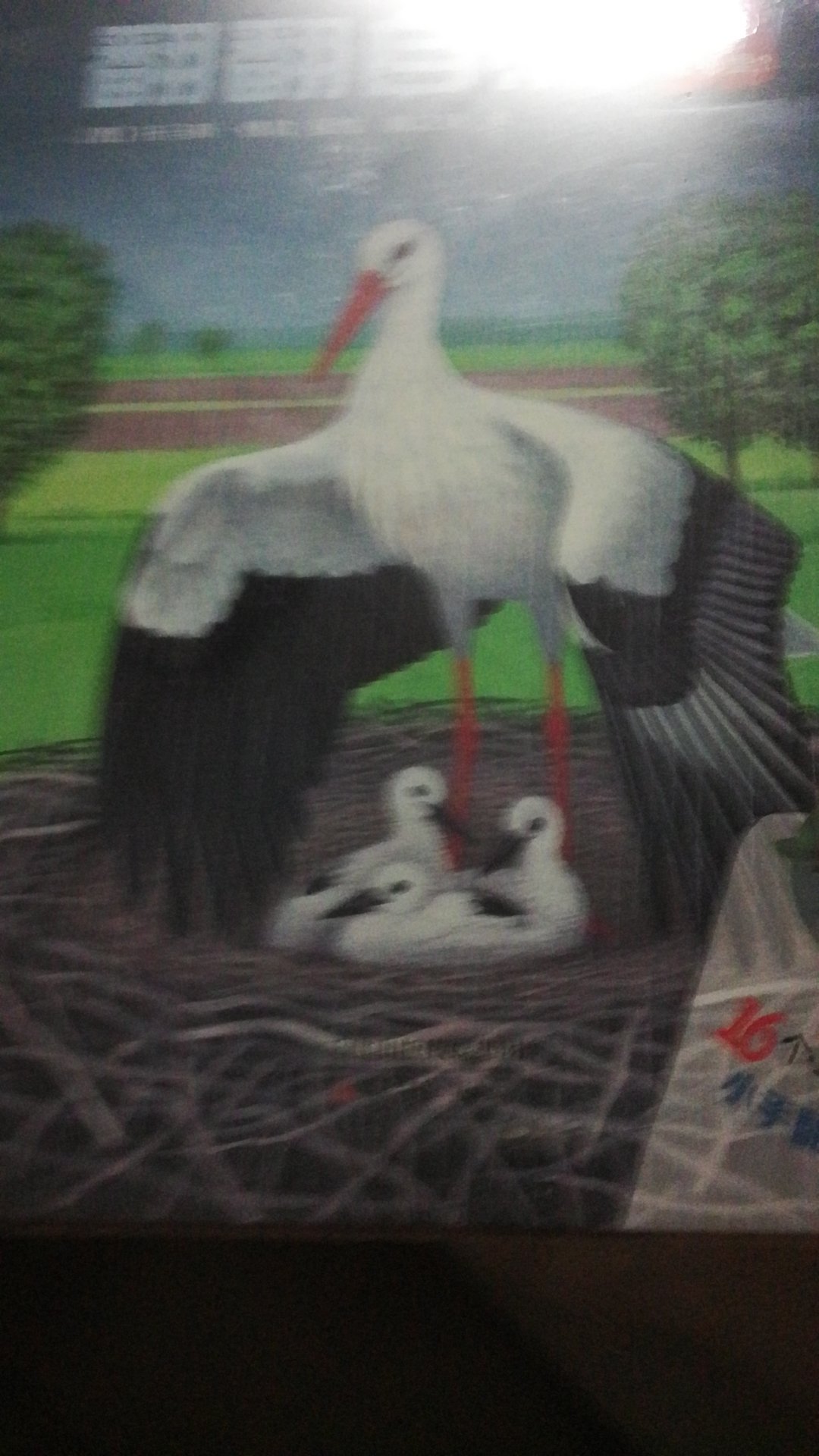 宝贝很好,孩子很喜欢,一直在买书,都很不错,值得信赖,质量也很好,内容不错,可以让家长和孩子一起了接了解大自然,享受大自然,真的很不错的一套书,你值得够买,618做活动200-100买的很实惠。