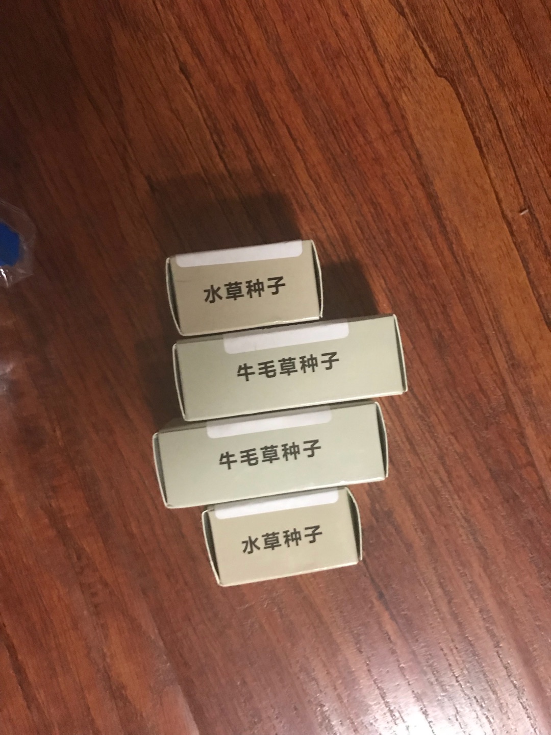 种子不错,回来就种上了,过几天看看出芽率