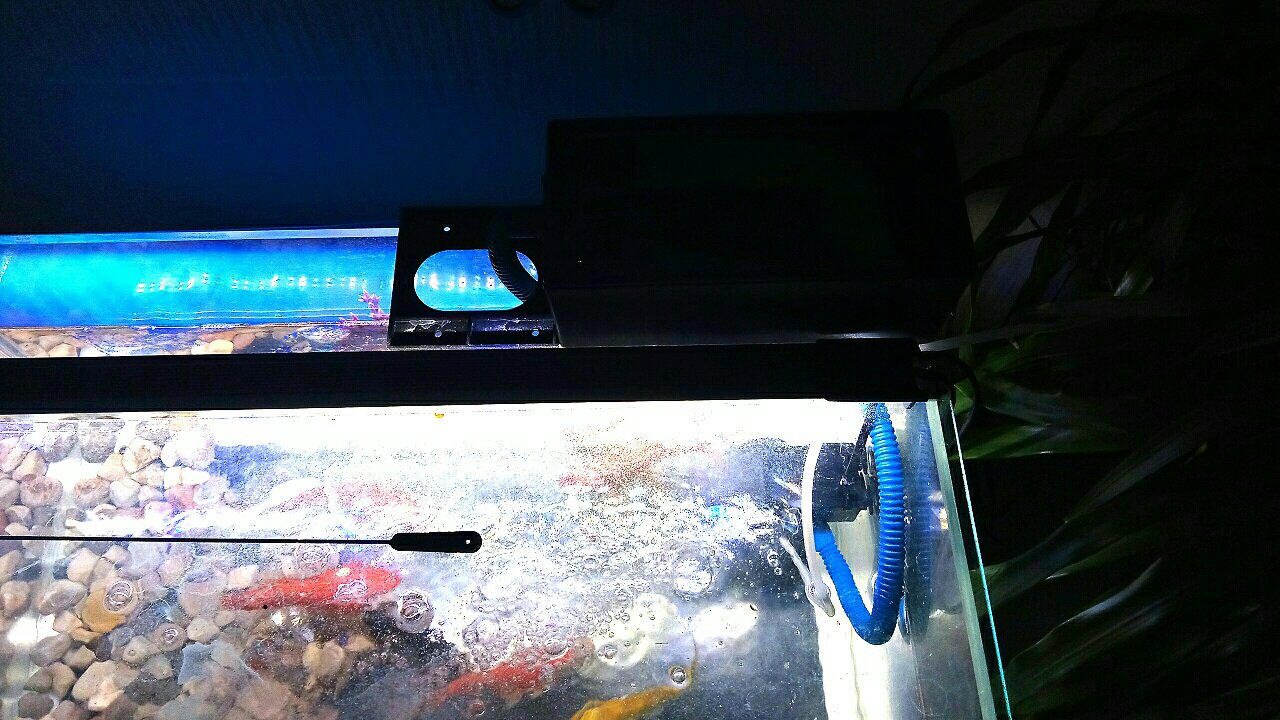 挺好的。