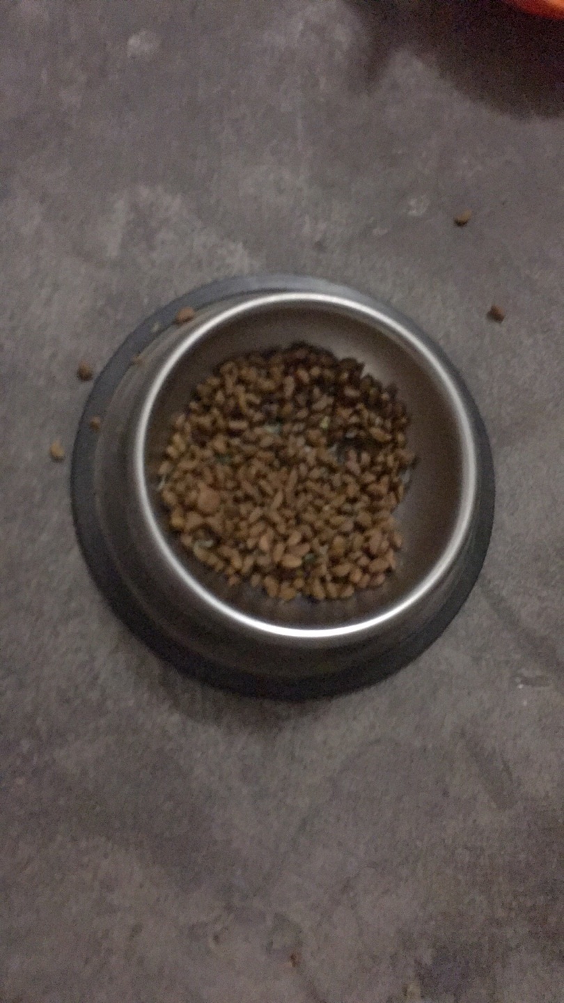 尝试新的粮,这个我家猫不怎么爱吃。