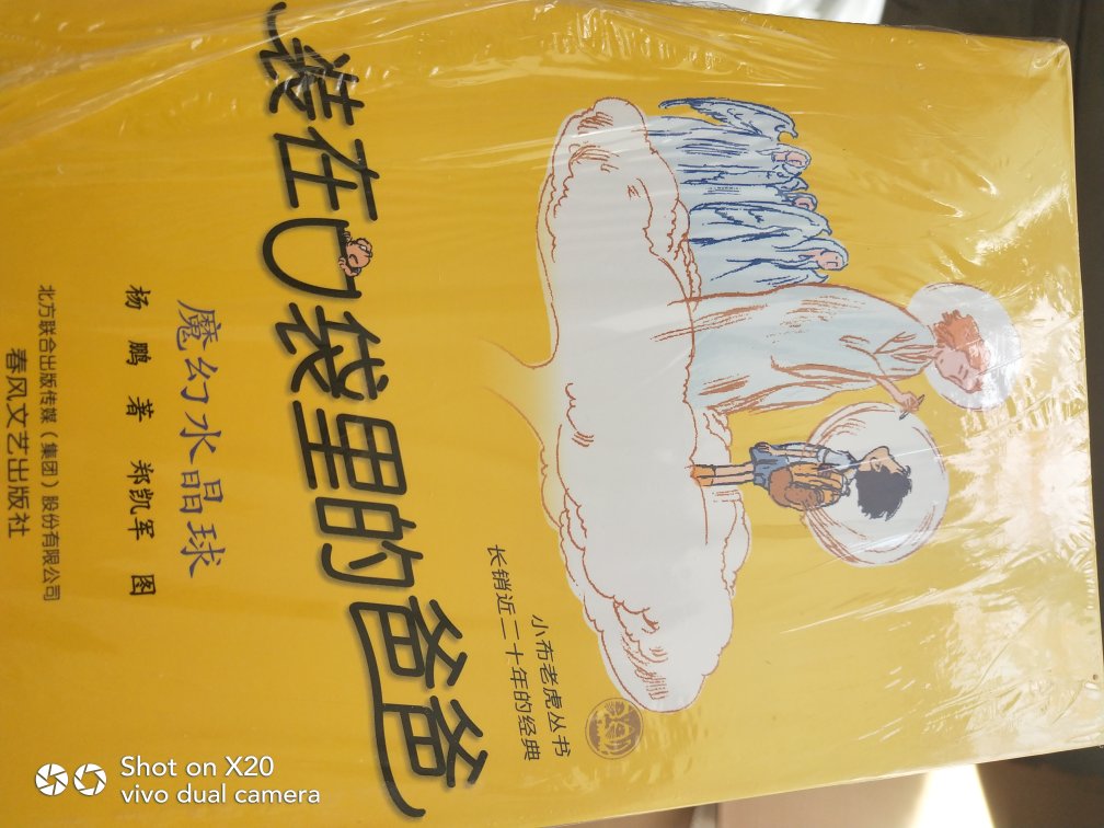 鹏 笔名雪孩。中国社科院文学所副研究员,中国作家协会会员,北京作协儿童文学委员会委员,北京作协签约作家。出版作品100多部,计1000多万字。主要作品有:《杨鹏科幻系列》《装在口袋里的爸爸》《校园三剑客》等,动画片《少年狄仁杰》(104集)《千千问》(128集)《福娃》(52集)《YOYO奇遇记》(52集)、中国首部大型科幻话剧《带绿色回家》等,理论专著《卡通叙事学》《科幻类型学》《结构主义和后结构主义在中国》等,创作翻译影视同期书:《快乐星球》《变形金刚》《少年包青天》《小鲤鱼历险记》《芭比娃娃》等。曾3次获官方文艺奖—中宣部“五个一工程”奖,另外还获儿童文学奖—“宋庆龄儿童文学”奖,中国科幻界奖—银河奖,中国科普界奖—全国优秀科普作品奖,中国图书界奖—国家图书奖、中国图书奖,中国电视奖—金鹰奖,中国动画奖—美猴奖等各类大奖20多次,多篇作品被翻译成英、日、韩等多国文字,在海外出版。