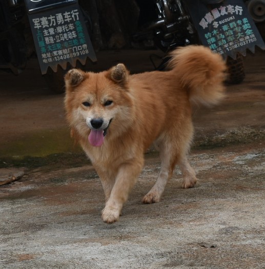 没买之前犹豫了很久就怕像素不怎么样。怕相机会有什么问题?买来用了这么久以后才知道。真值得。? ? ? ? ?