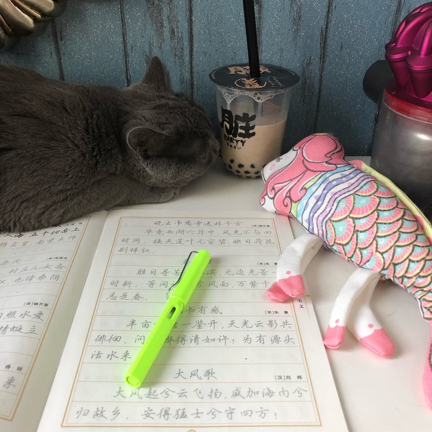 字帖特别好 小时候练了五年楷书的底 现在为了修身养性的 抓起行楷感觉毫无压力 但是总感觉我家喵好像不太愿意让我练字吧 每次刚拿出来笔和字帖都来趴在我面前怎么都撵不走??