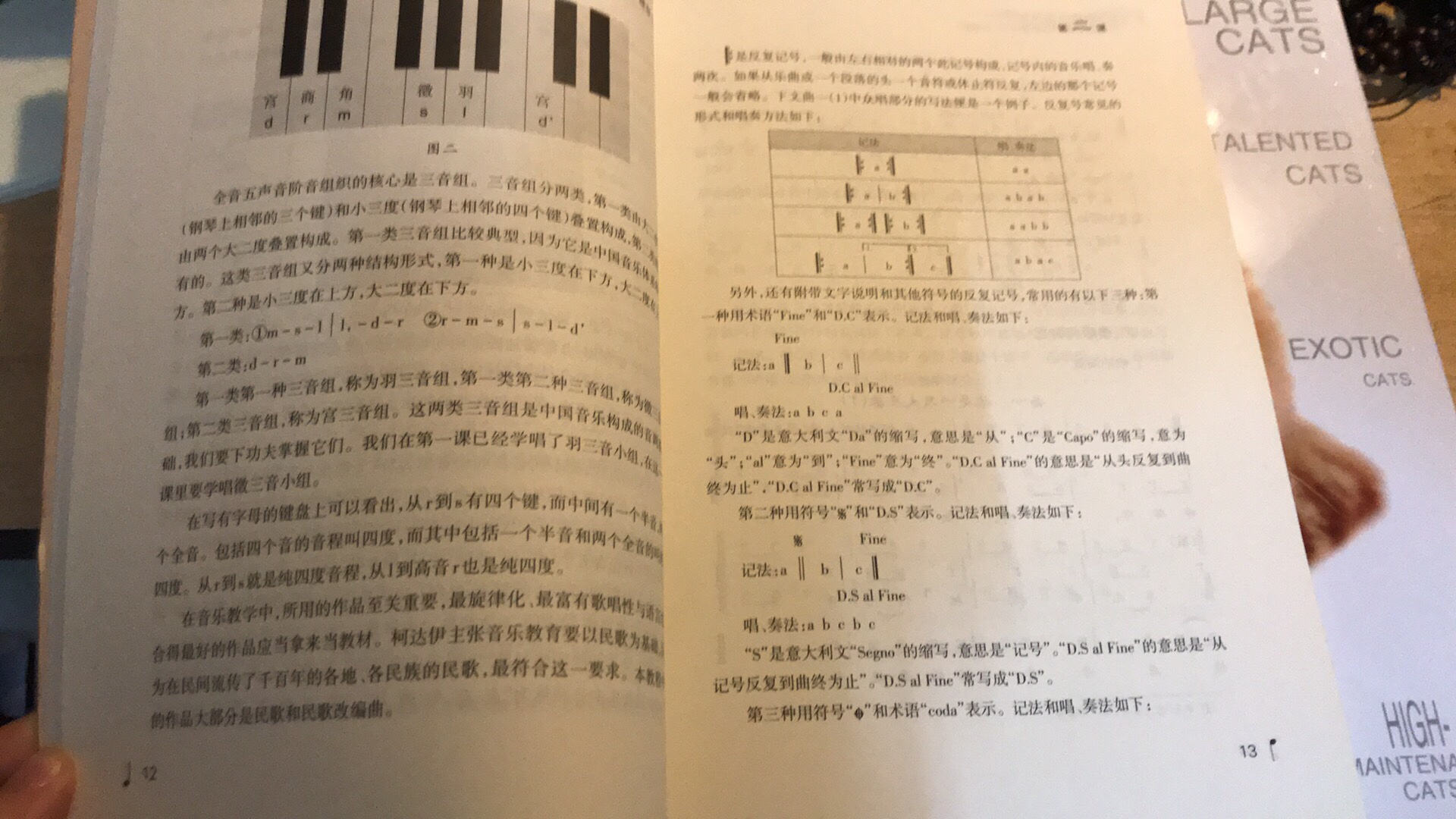 ?很喜欢这种基础知识类的书籍,一直在找关于音乐基础知识方便的书,看到这本下手买来看看,希望没有基础的我可以看懂。书挺薄的,但纸张质量还不错,纸质很滑,手感也好。好评。