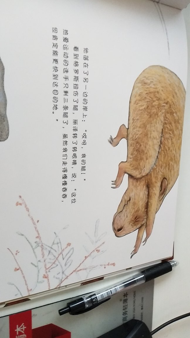 家里已经有了超多的绘本,现在买书的进度慢了,只是看到喜欢的还是会入手几本,因为很喜欢和孩子一起亲子共读的时光,发现书里好玩的,好笑的地方,等孩子长大也许有些许时段会回忆起这样的快乐时光。这本豚鼠的书,是家里的书里没有出现过得动物绘本,所以就买了一本,买书又快又好,推荐大家都来买。