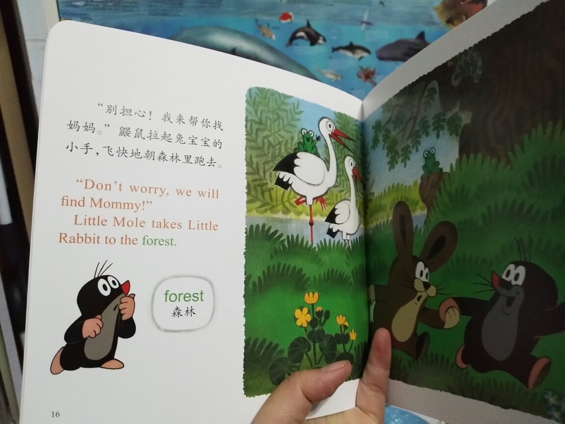 书质量不错,娃也喜欢,买书就是好,便宜,正品,送货快!每次我买完了就告诉娃,我给你买了什么,明天快递叔叔给你送家,时间长了跟快递小哥都成朋友了。话说的快递小哥是看着我家娃长大的!