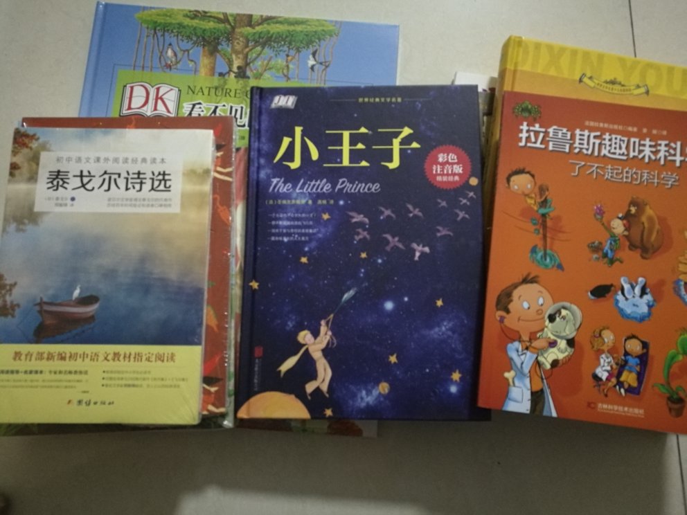 这本书的名字叫出发吧小皮,还以为小皮是个小朋友,打开书一看,发现小皮应该是一个成年男性。书的内容还是写的挺不错的,比较简单的把人类的历史概括了一遍,主要是介绍了科技方面的发明历史,小朋友挺喜欢。