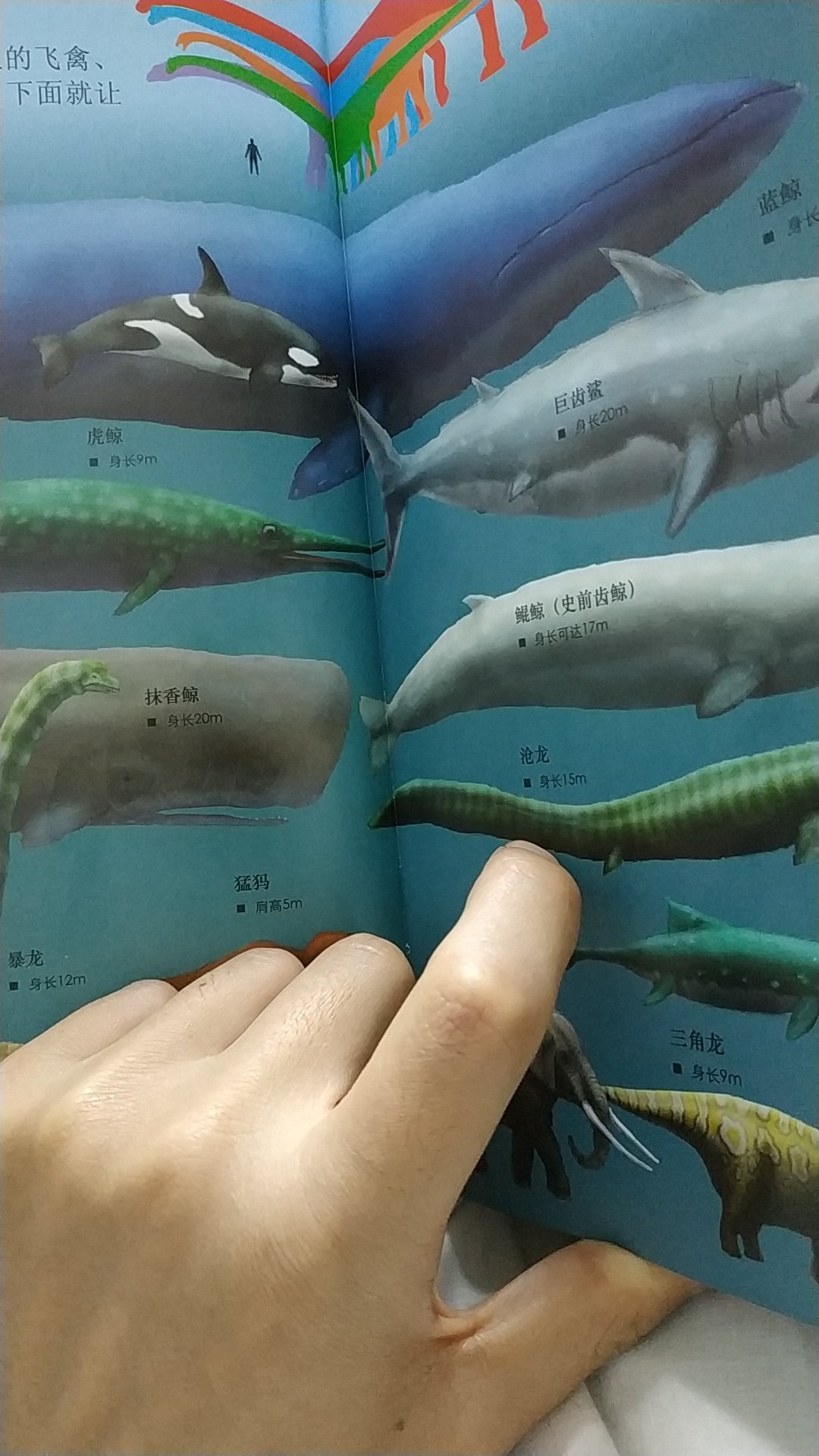 东西丢门口小店,结果去取还收费,不论大小一件一块,快递员也不提前说。呵呵,凶山恶水出刁民。店里全往地上一丢,下雨全是泥巴。怎么至少一颗星