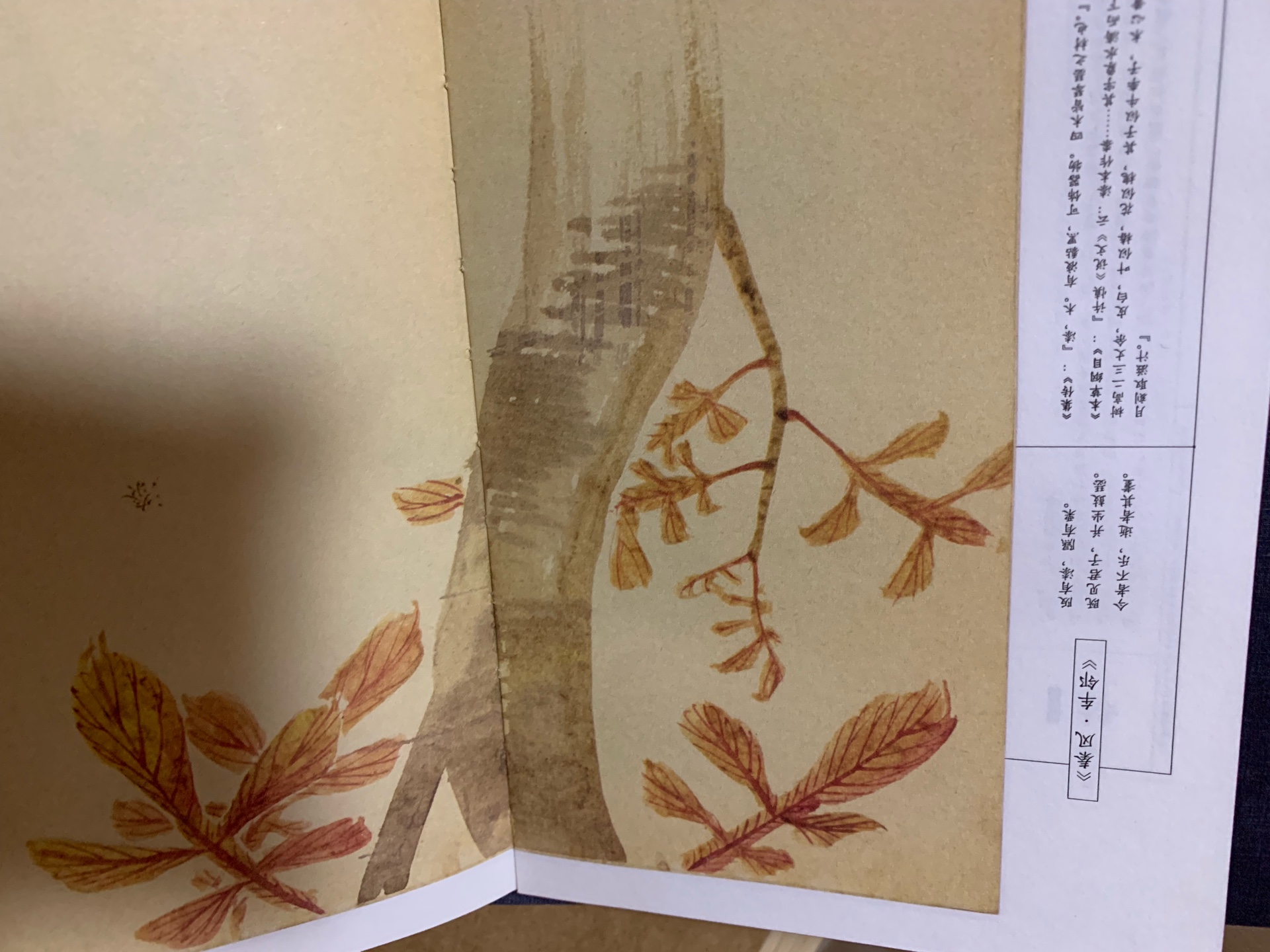 在一个书友群看到这本书的,感觉特别好,画面也很漂亮,然后直接就买了,非常喜欢,就是觉得有点小,就应该直接印成大本啊,那样多爽。看着更好看!不过这样还是很喜欢,!!