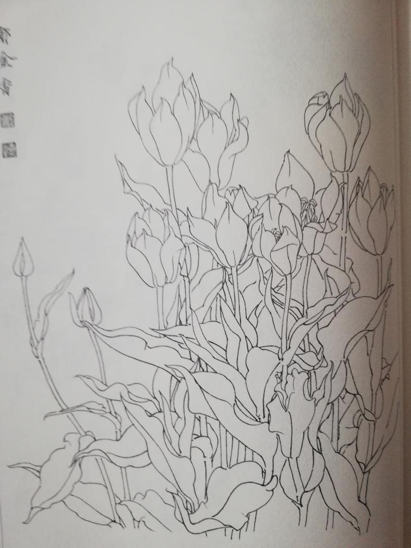 《美花争研/唯美线描》《中国画入门:蝴蝶》《中国画名家技法丛书:工笔猫技法全解》《墨点美术白描画谱:白描花卉》《墨点美术白描画谱:白描禽鸟》《古代常用字字典》《现代汉语词典》2018.9.20购买的七本书初步印象1《美花争研/唯美线描》梁燕生著,4星推荐,排版不错,印刷清晰,构图精美2《中国画入门:蝴蝶》作者张瑞根,3.5星推荐,本册画的是百蝶图,非常好的是每只蝶都有名称。3.《中国画名家技法丛书:工笔猫技法全解》作者邢诚爱 ,5星推荐,画得非常漂亮,印刷也精美,小猫生动活泼可爱,就是技法讲解的太简单,完全看不懂,没学到技巧。不过邢老师的画作是非常漂亮,让人感动。4.《墨点美术白描画谱:白描花卉》3.5星5.《墨点美术白描画谱:白描禽鸟》5星推荐。印刷清晰,排版也十分精妙。6-42页是各种鸟类形态线描示例,后面是36幅线描作品,喜欢线描的朋友强烈推荐拥有。6.《古代常用字字典》(第五版)王力,岑麒祥,林焘 等 编,蒋绍愚,唐作藩,张万起 等 整理。商务印书馆出品,一般汉语字典词典都要买这个品牌。7.《现代汉语词典》(第7版)中国社会科学院语言研究所词典编辑室 编。商务印书馆出品,一般汉语字典词典都要买这个品牌。