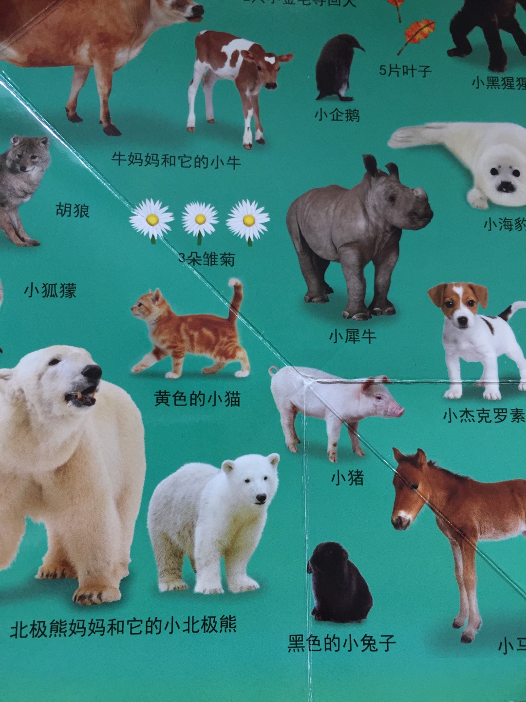 很多动物图案都太小了 才指甲那么点大 而且不够清晰 有些动物看起来就是黑糊糊一团都难看清楚具体外形 总体来说这套书还是比较失望的