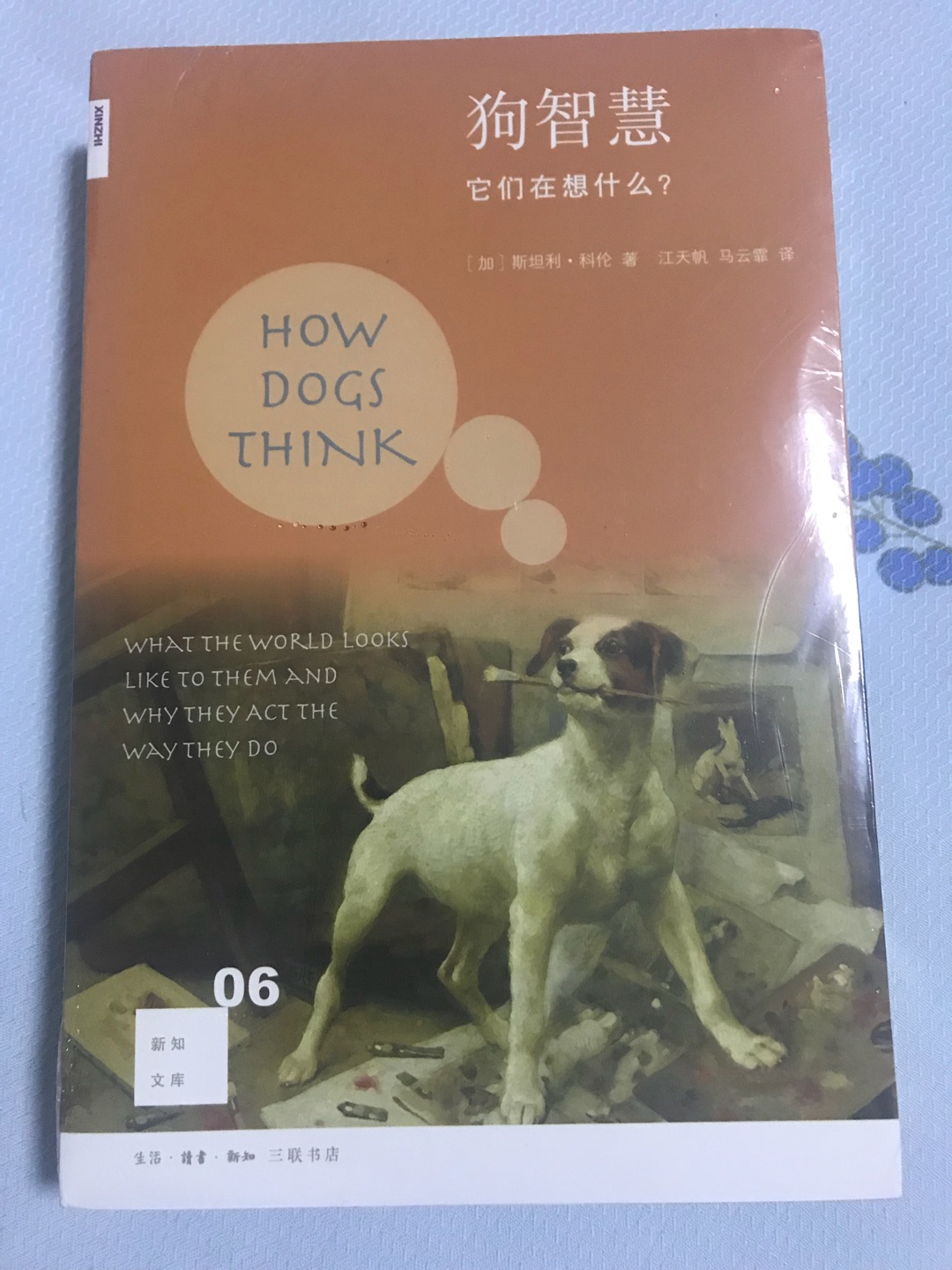 很多人都说狗是完美人性的化身,古希腊哲人柏拉图甚至认为狗具有“哲学家的灵魂”。数个世纪以来,狗教会了人类很多东西,诸如忠诚和勇气,但时至今日,人类仍然对狗是否真的具备