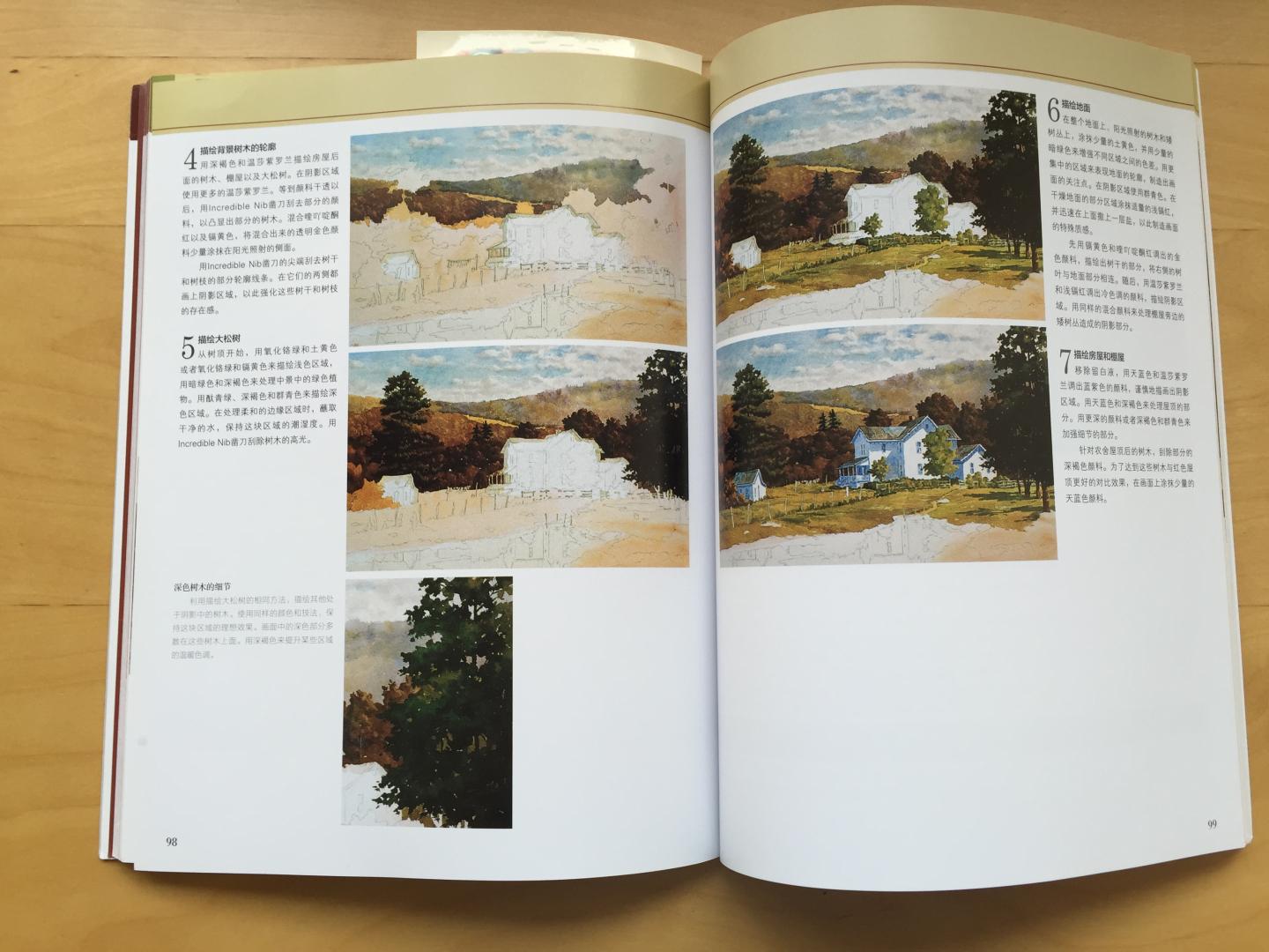 画面优美,讲解详细浅显。美国的艺术类图书就是好!介绍了十字构图、L形构图、O形构图等十二种构图方式。缺点是,构图介绍仅仅局限于风景画。