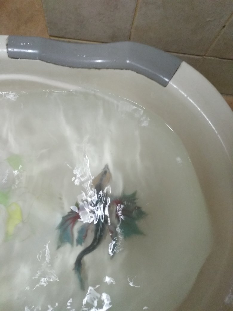 正品 个人和小朋友都非常喜欢