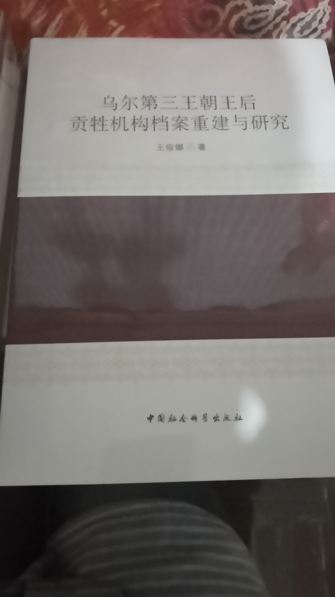 看了伊拉克的古建筑介绍,突然对乌尔王朝感兴趣了,买了看看