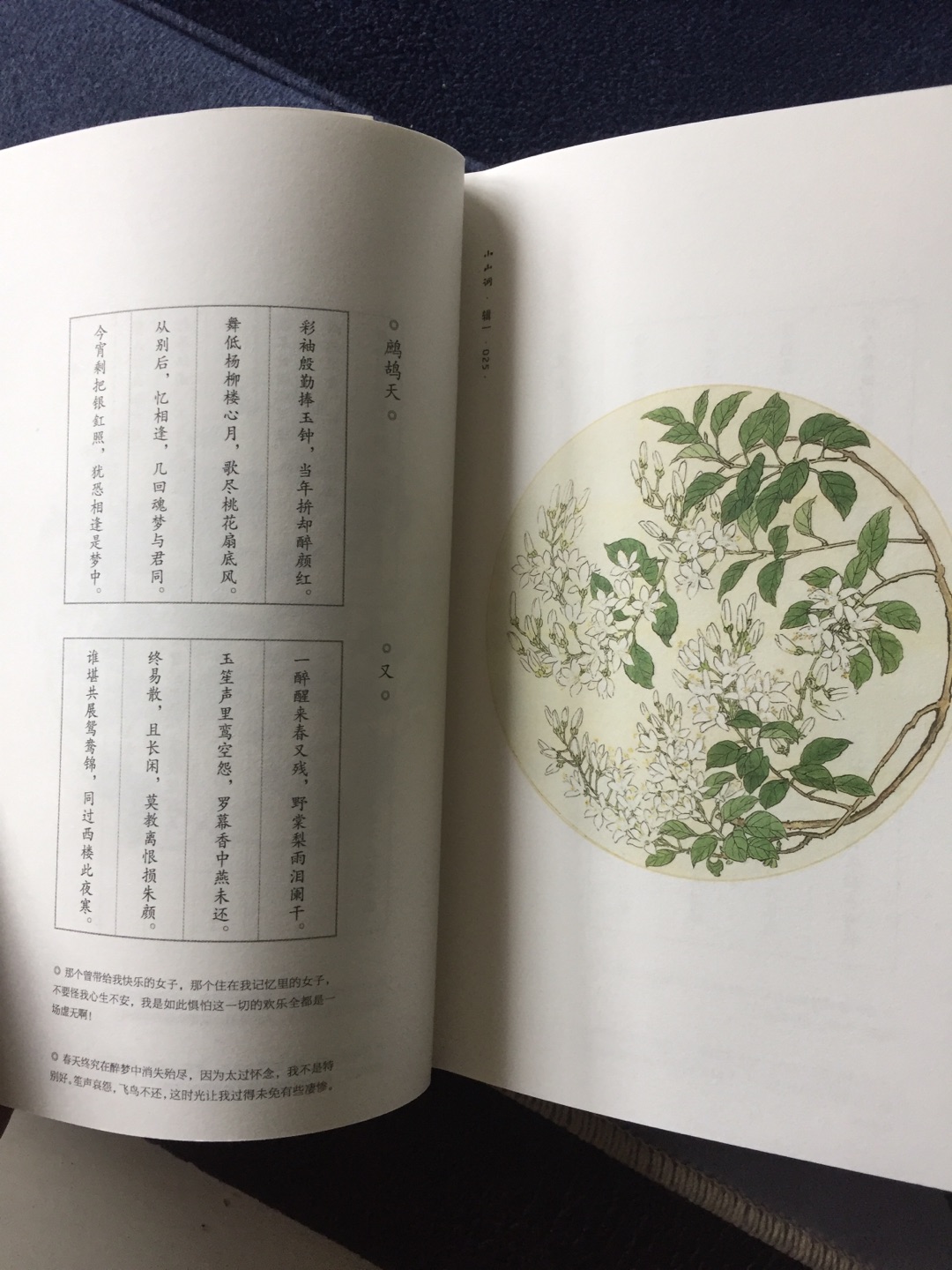 文艺范的一本小山词,插画很美,赏心悦目,宋词之美,就像在庭院里,看花落去,看燕归来,安静地和岁月对话,在古典之美中,蔚籍无处安放的人生.....就是字太小了,?累